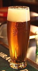 世界一周　ビール　チェコ　東欧