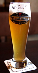 世界一周　ビール　ポーランド　東欧
