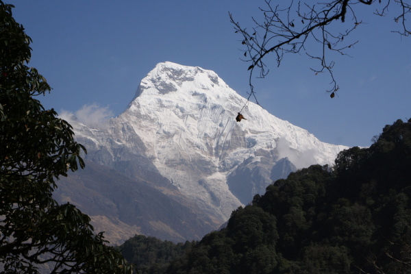 世界一周写真館　ネパール　アジア