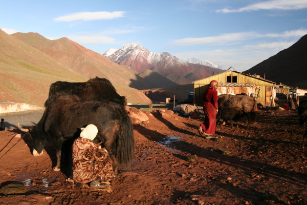 世界一周写真館　中央アジア　パミール高原 アジア